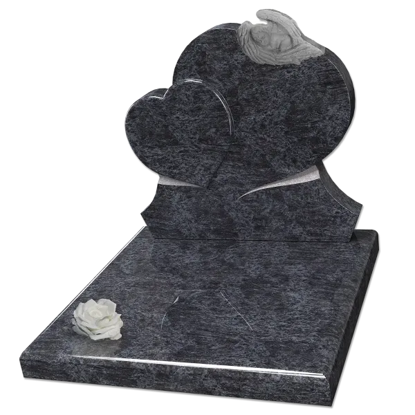 Modèle , Cinéraire enfant