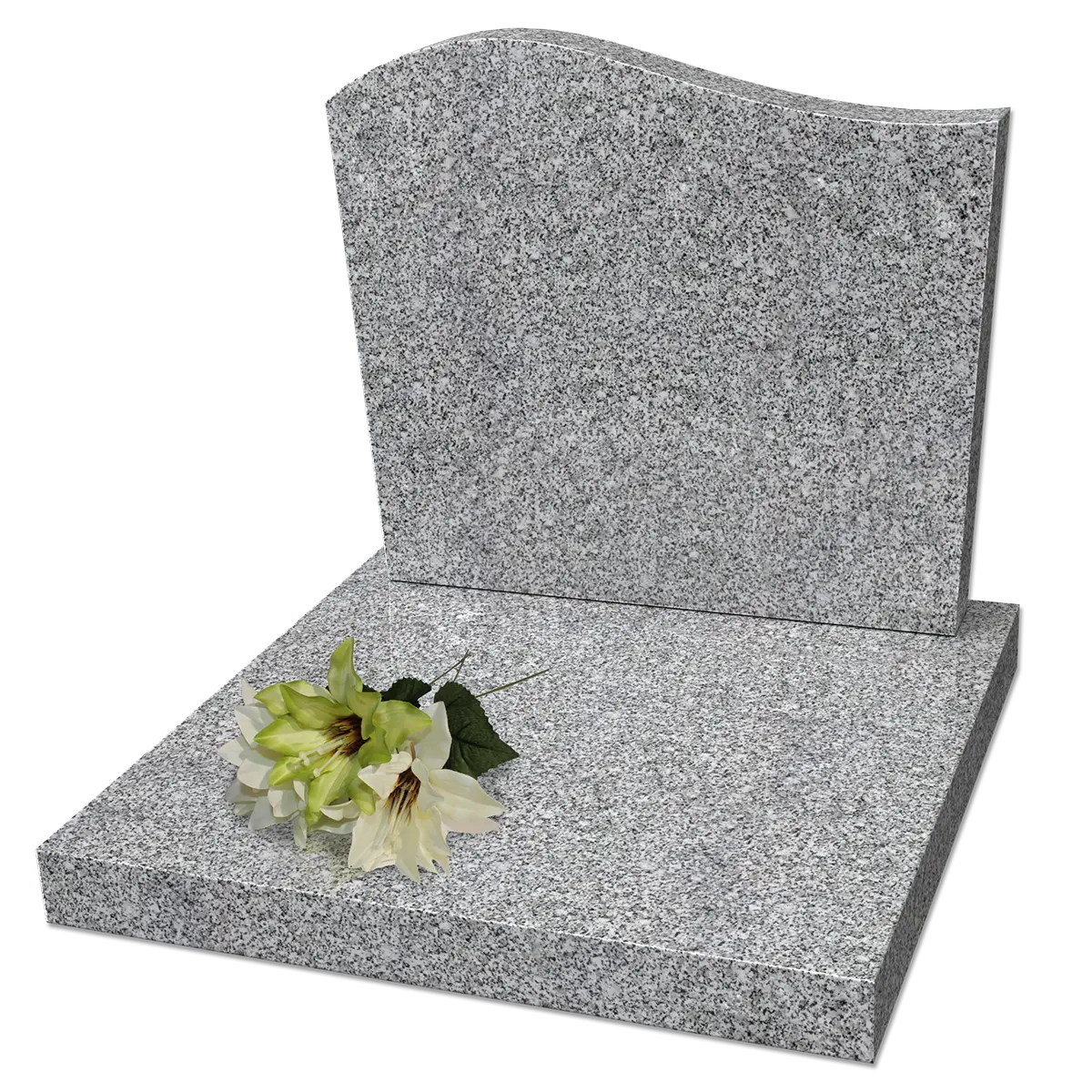 Cinéraire classique en Tarn Moyen