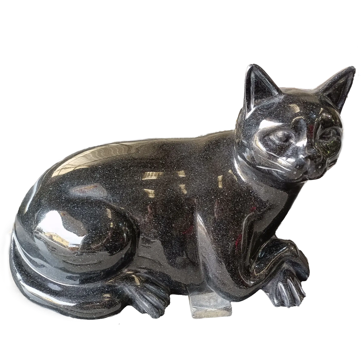 Cinéraire en forme de chat Noir Afrique